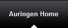 Auringen Home