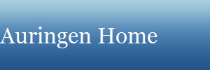 Auringen Home