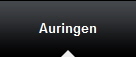 Auringen